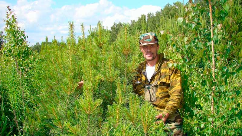 Купить диплом егеря Купить диплом егеря